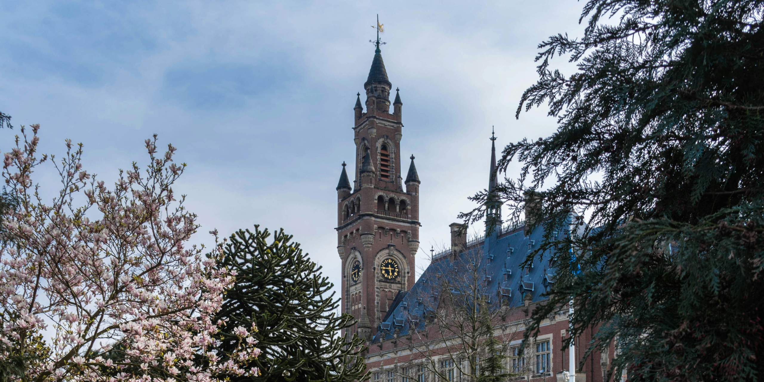 peace palace unsplash